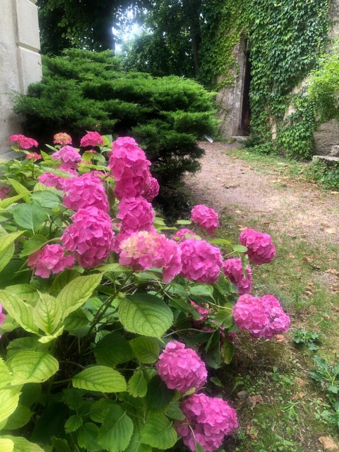 Demeure Des Payratons Bed and Breakfast Saint-Gerand-le-Puy Εξωτερικό φωτογραφία